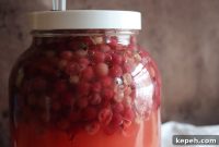Gooseberry Wine and Mead: How to Make Fermented Fruit Wines
