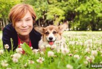 15 Dog Breeds Perfect for Companionship in Your Later Years