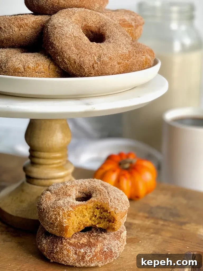 Pumpkin Cinnamon Sugar Donuts Recipe for Fall Baking 4 Several donuts stacked on top of each other on a white plate on top of marble cake stand.