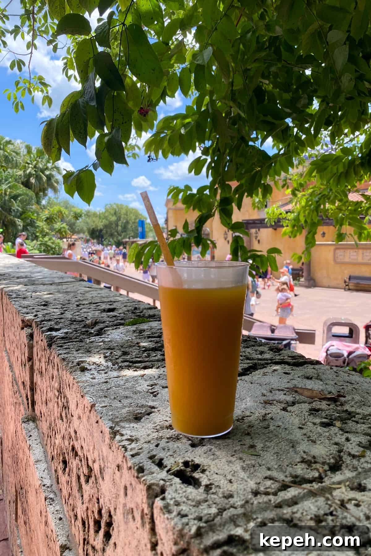 mango loco margarita choza de margarita epcot