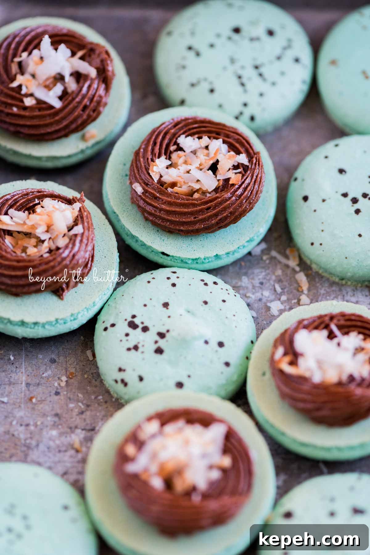 Robin's Egg Macarons: Delicate Blue Pastry Recipe and Tips 12 Robin's egg macarons opened and half filled with milk chocolate frosting and toasted coconut flakes in a vintage bake pan
