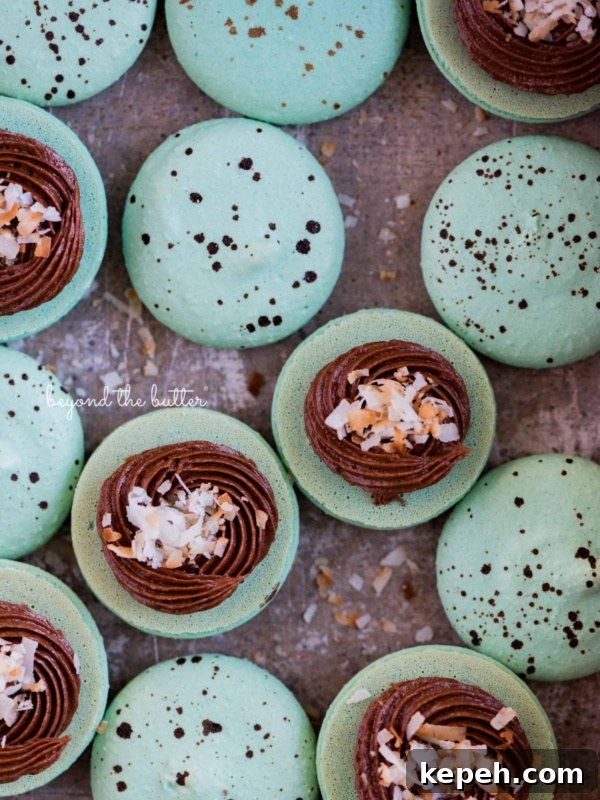 Robin's Egg Macarons: Delicate Blue Pastry Recipe and Tips 14 Robin's egg macarons opened and half filled with milk chocolate frosting and toasted coconut flakes in a vintage bake pan.