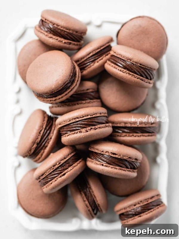 Robin's Egg Macarons: Delicate Blue Pastry Recipe and Tips 16 Overhead image of rectangular white plate full of chocolate macarons on white background.