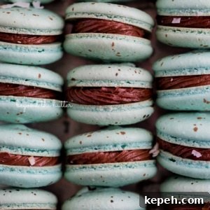 Robin's Egg Macarons: Delicate Blue Pastry Recipe and Tips 17 Stacked robin's egg macarons with milk chocolate frosting and toasted coconut flakes.