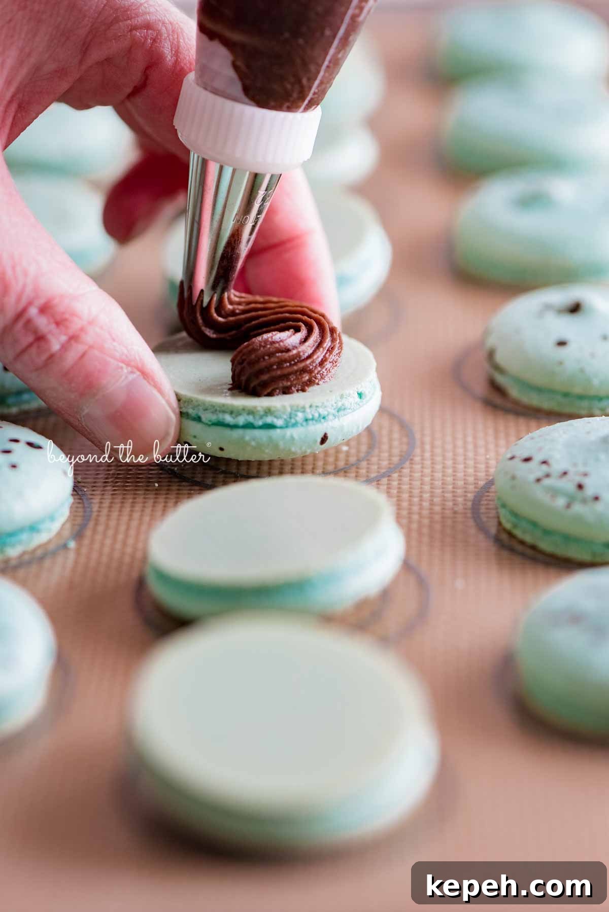 Robin's Egg Macarons: Delicate Blue Pastry Recipe and Tips 3 Piping milk chocolate frosting onto robin's egg macaron shells