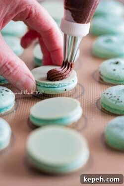 Robin's Egg Macarons: Delicate Blue Pastry Recipe and Tips 8 Piping milk chocolate frosting onto robin's egg macaron shells