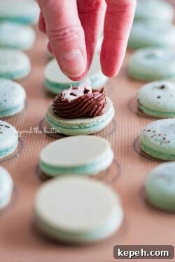 Robin's Egg Macarons: Delicate Blue Pastry Recipe and Tips 9 Adding toasted coconut flakes to the center of each macaron shell