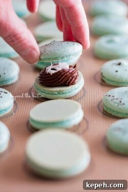 Robin's Egg Macarons: Delicate Blue Pastry Recipe and Tips 10 Sandwiching a macaron shell together with another macaron shell