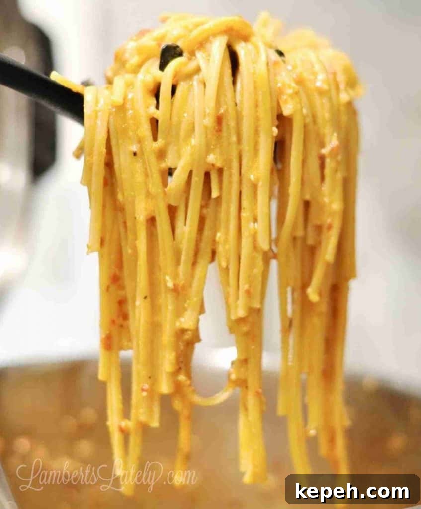 Trader Joe's Chili Onion Crunch Chicken Pasta