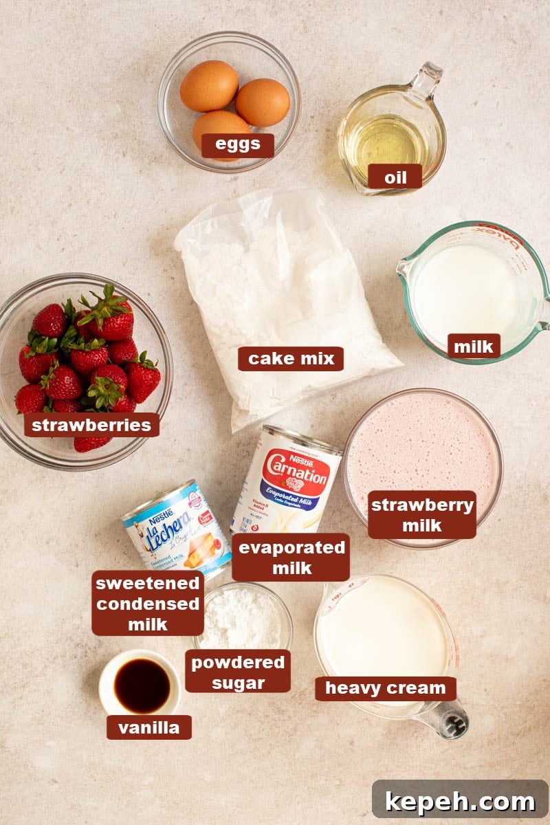Strawberry Tres Leches Cake Recipe — Moist Milk-Soaked Dessert 2 All of the ingredients for strawberry tres leches cake in bowls on a countertop including cake mix, eggs, oil, milk, strawberry milk, evaporated milk, sweetened condensed milk, heavy cream, powdered sugar, vanilla, and strawberries.