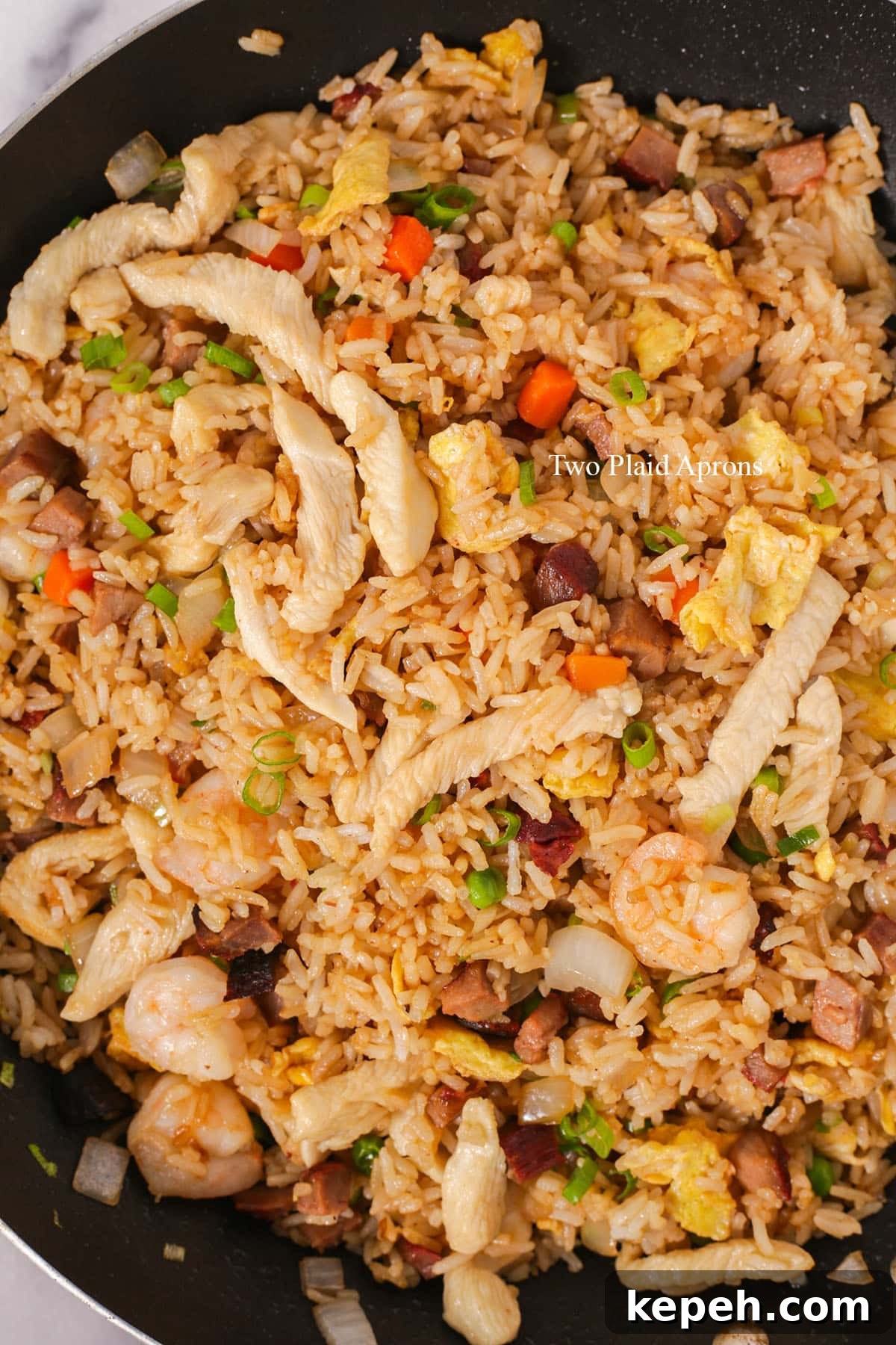 Pan of house special fried rice.
