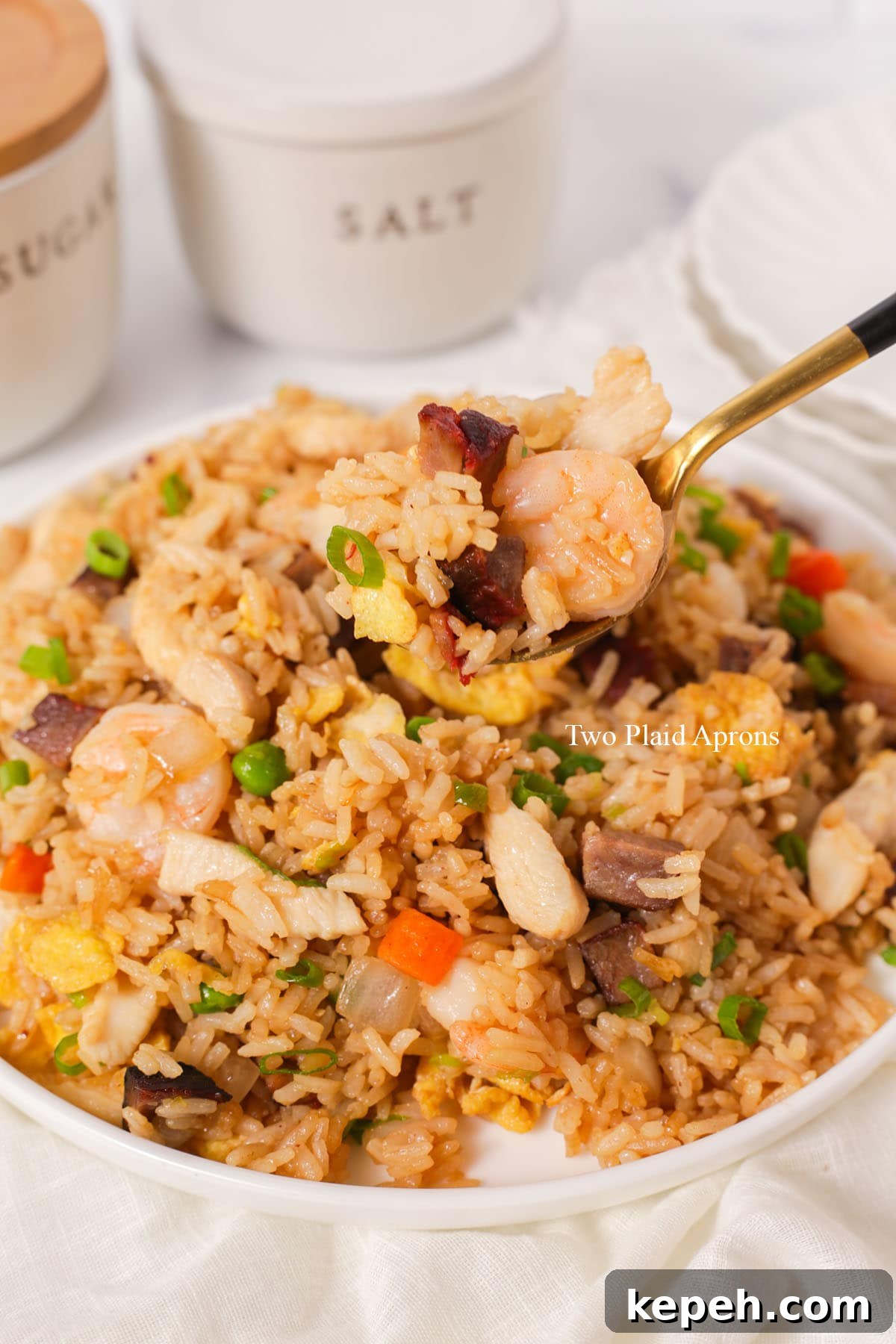 Spoonful of house special fried rice.