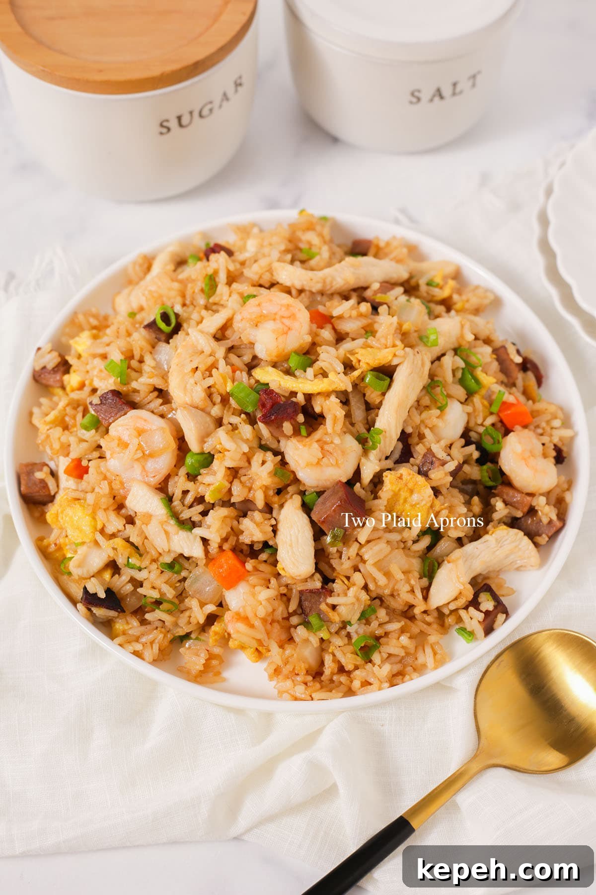 Side shot of house special fried rice.