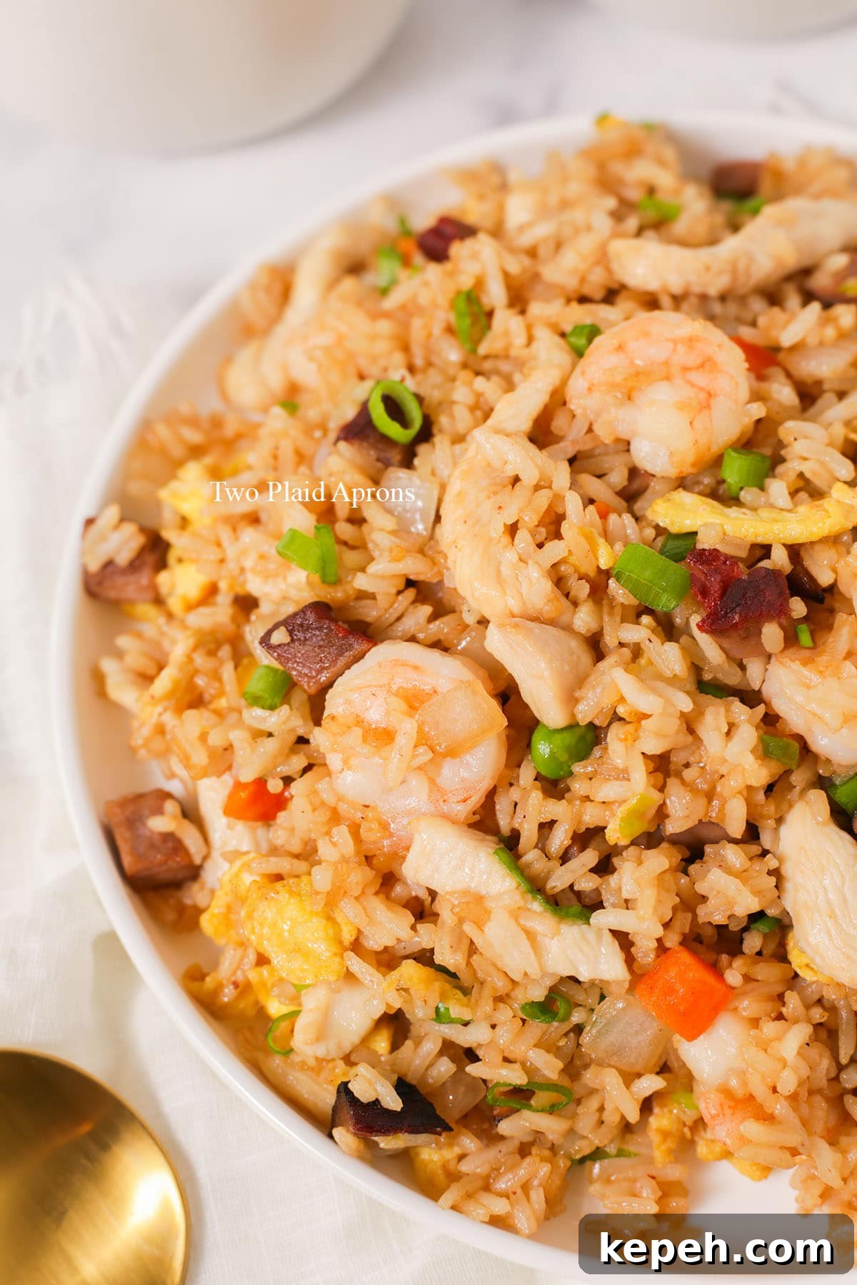 Close of house special fried rice.