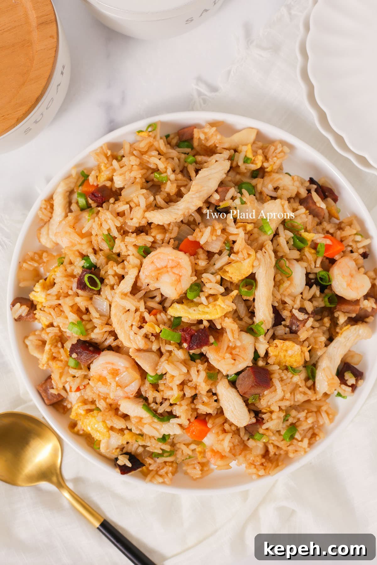 Top down of plate of house special fried rice.