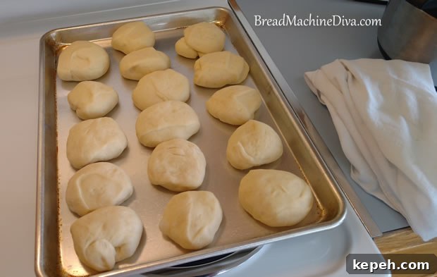 Buttery Buns after Rising