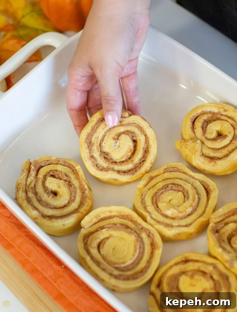 Pumpkin Cinnamon Rolls Made with Rich Whipping Cream 4 Hand placing a cinnamon roll into a white baking dish with other cinnamon rolls. The rolls are spiraled and uncooked, resting on a kitchen countertop with an orange cloth underneath.