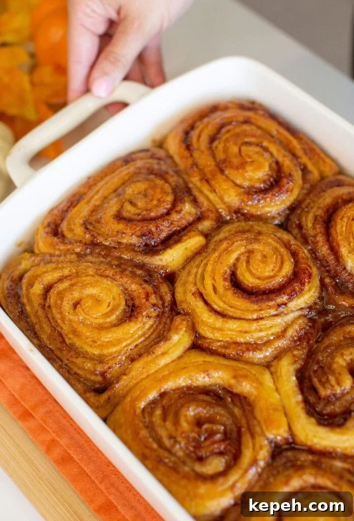 Pumpkin Cinnamon Rolls Made with Rich Whipping Cream 8 A person holding a white baking dish filled with freshly baked cinnamon rolls. The rolls are golden brown and glazed, arranged snugly in the dish. An orange cloth is partially visible underneath the dish.