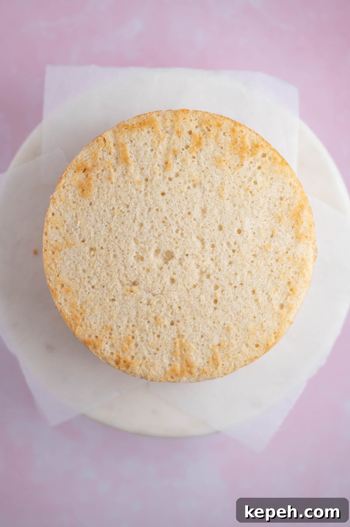 Light and Fluffy White Forest Cake Recipe 16 white cake layer on a parchment lined cake stand