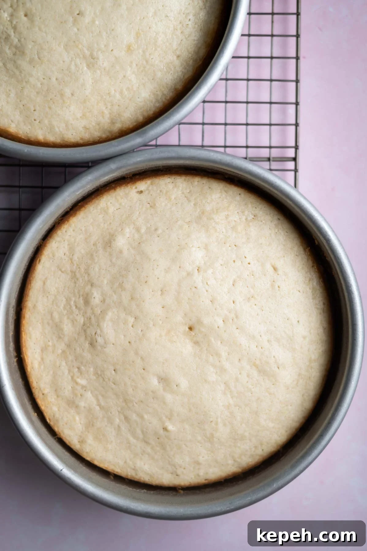 Light and Fluffy White Forest Cake Recipe 10 baked white cake layers on a cooling rack
