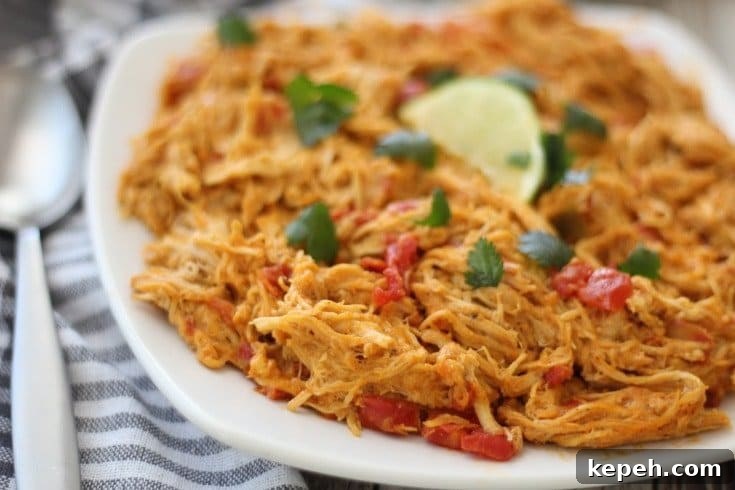 shredded Mexican chicken on a plate with cilantro and lime wedge