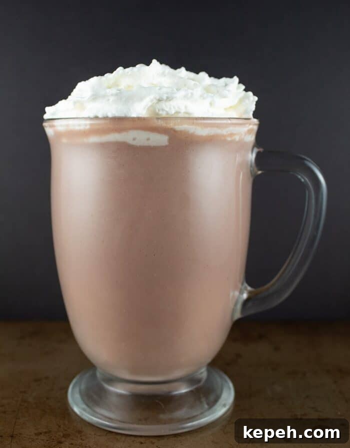 Keto Snickerdoodle Cookies: Low-Carb Cinnamon Treats 12 keto hot chocolate against a black background with a ton of whipped cream on top