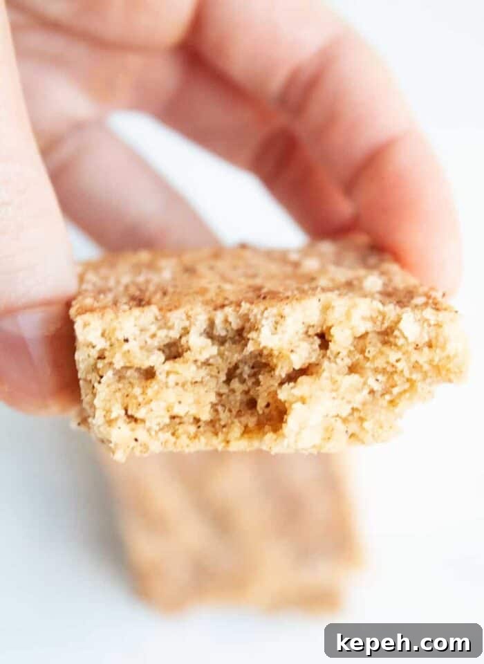 Keto Snickerdoodle Cookies: Low-Carb Cinnamon Treats 19 hand holding half eaten healthy keto snickerdoodle cookie