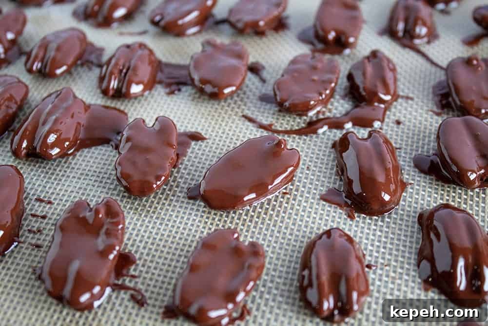 Keto Snickerdoodle Cookies: Low-Carb Cinnamon Treats 20 closeup of chocolate covered pecans with several broken in half