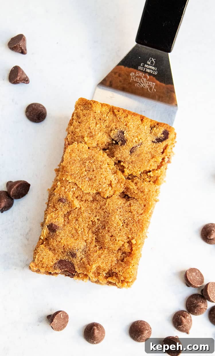 Keto Snickerdoodle Cookies: Low-Carb Cinnamon Treats 21 overhead view of keto pumpkin chocolate chip cookie on spatula