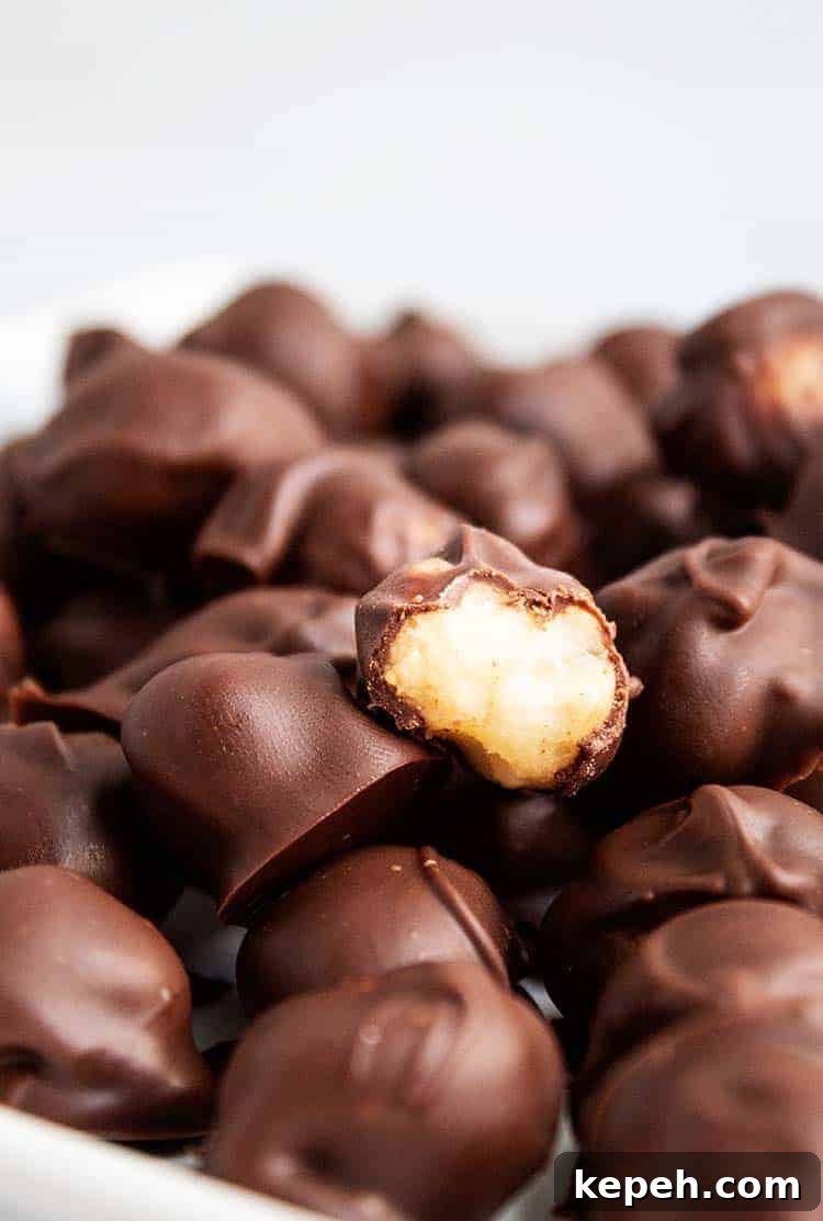 Keto Snickerdoodle Cookies: Low-Carb Cinnamon Treats 24 closeup of half-eaten chocolate covered macadamia nut in a bowlful of macadamia nuts