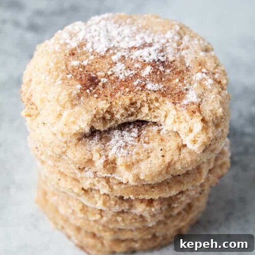 stack of keto snickerdoodles cookies on countertop