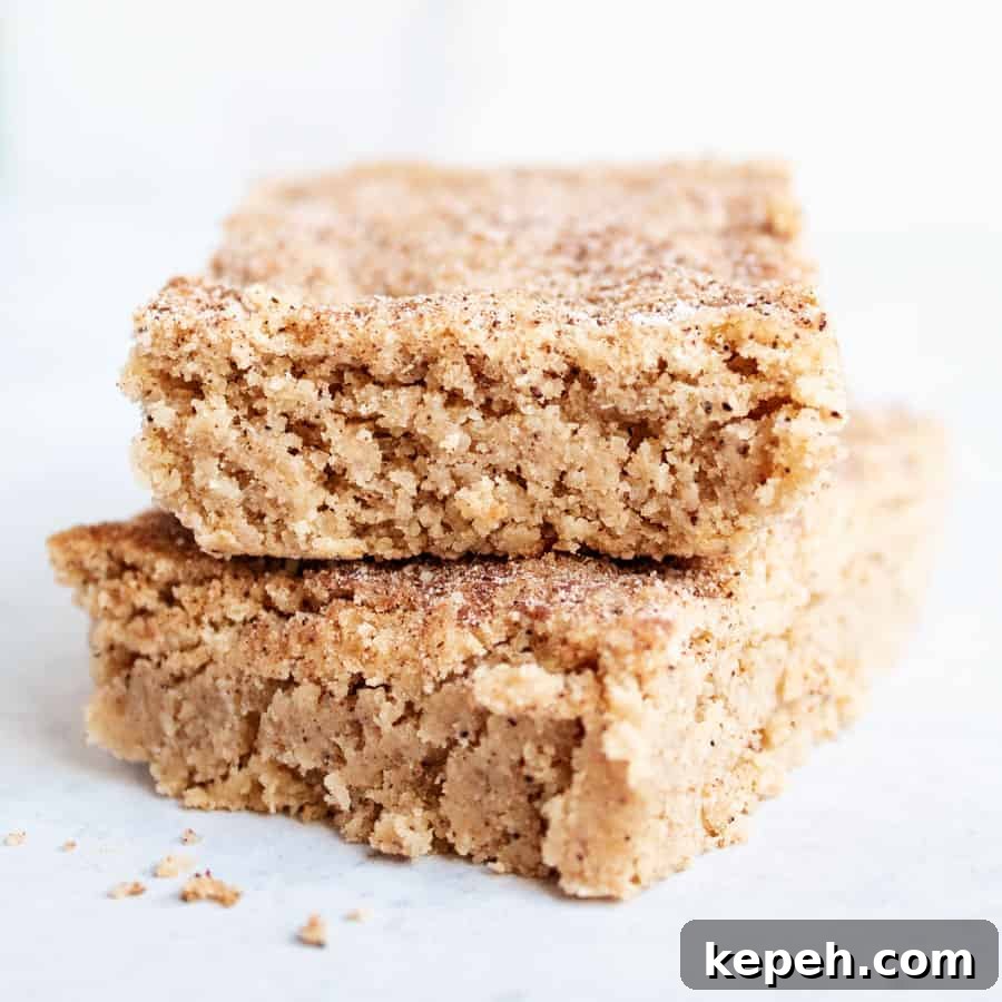 Keto Snickerdoodle Cookies: Low-Carb Cinnamon Treats 6 two keto snickerdoodles bars stacked on top of each other