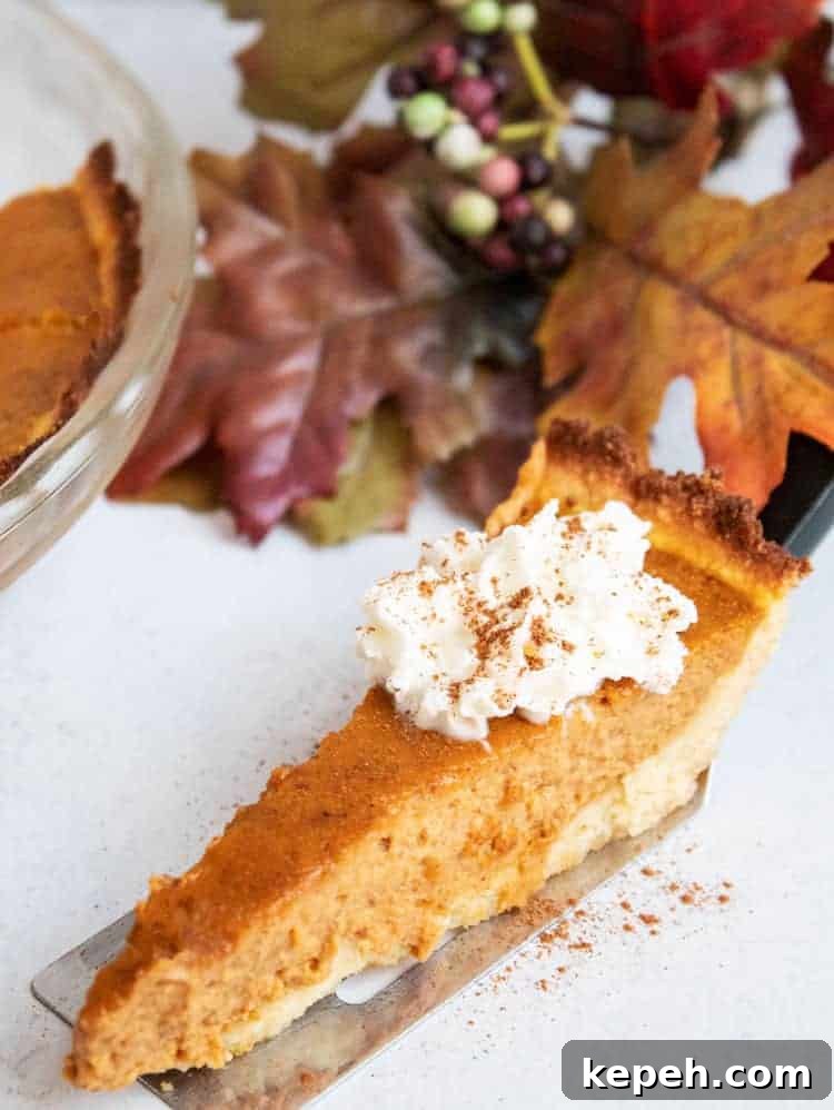 Keto Snickerdoodle Cookies: Low-Carb Cinnamon Treats 10 slice of keto pumpkin pie with whipped cream on top next to pie dish