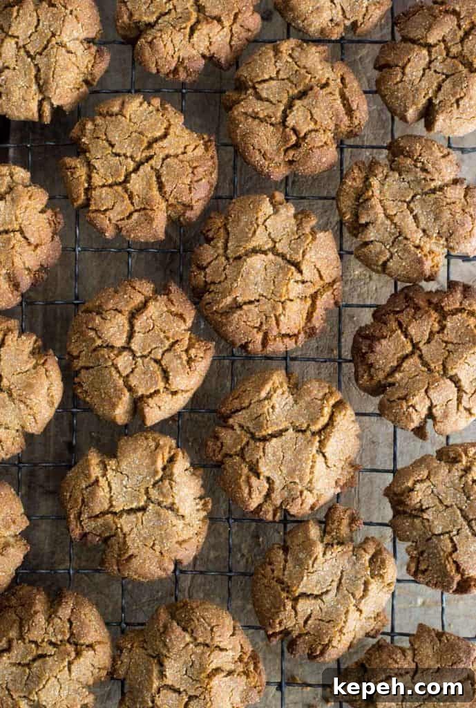 Crispy Ginger Biscuits Without Gluten: Tangy Spice Cookies 11 ginger biscuits on a cooling rack