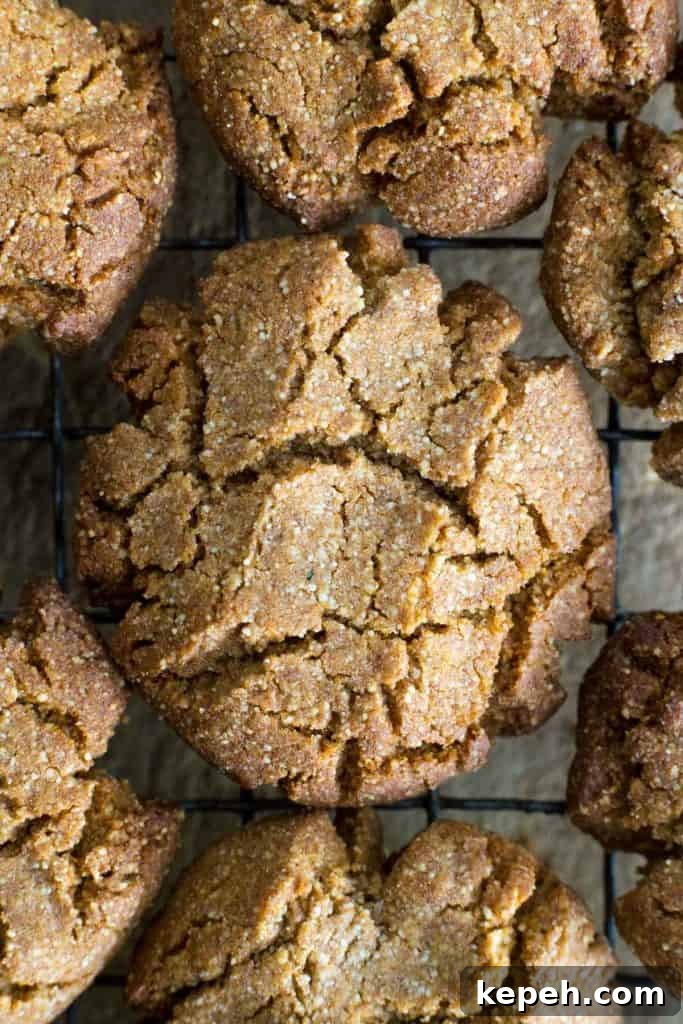 Crispy Ginger Biscuits Without Gluten: Tangy Spice Cookies 9 close up of ginger biscuit on a cooling rack