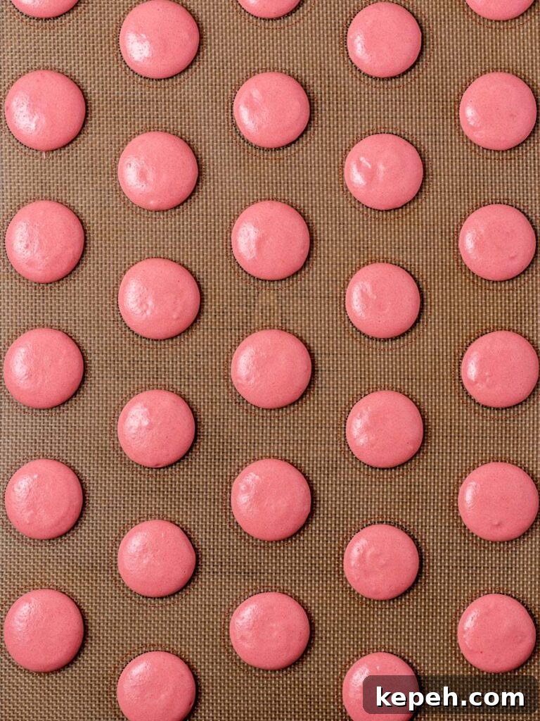 Strawberry Macaron Recipe: Light, Tangy French Cookies 5 Macaron shells resting before being baked.