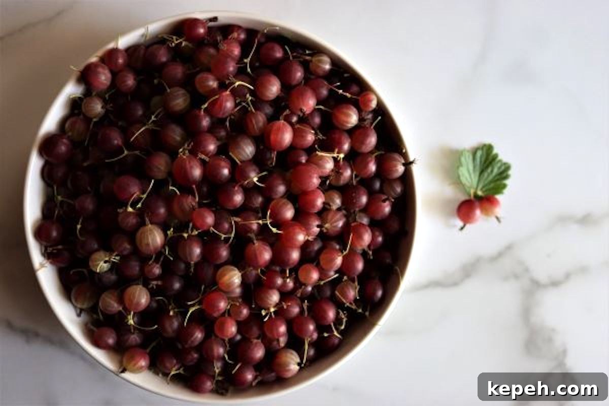Gooseberries