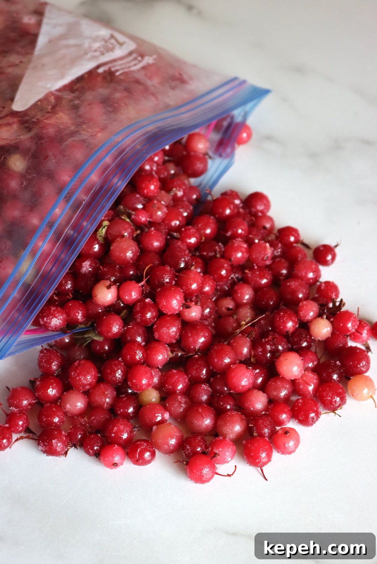 Frozen Gooseberries for winemaking