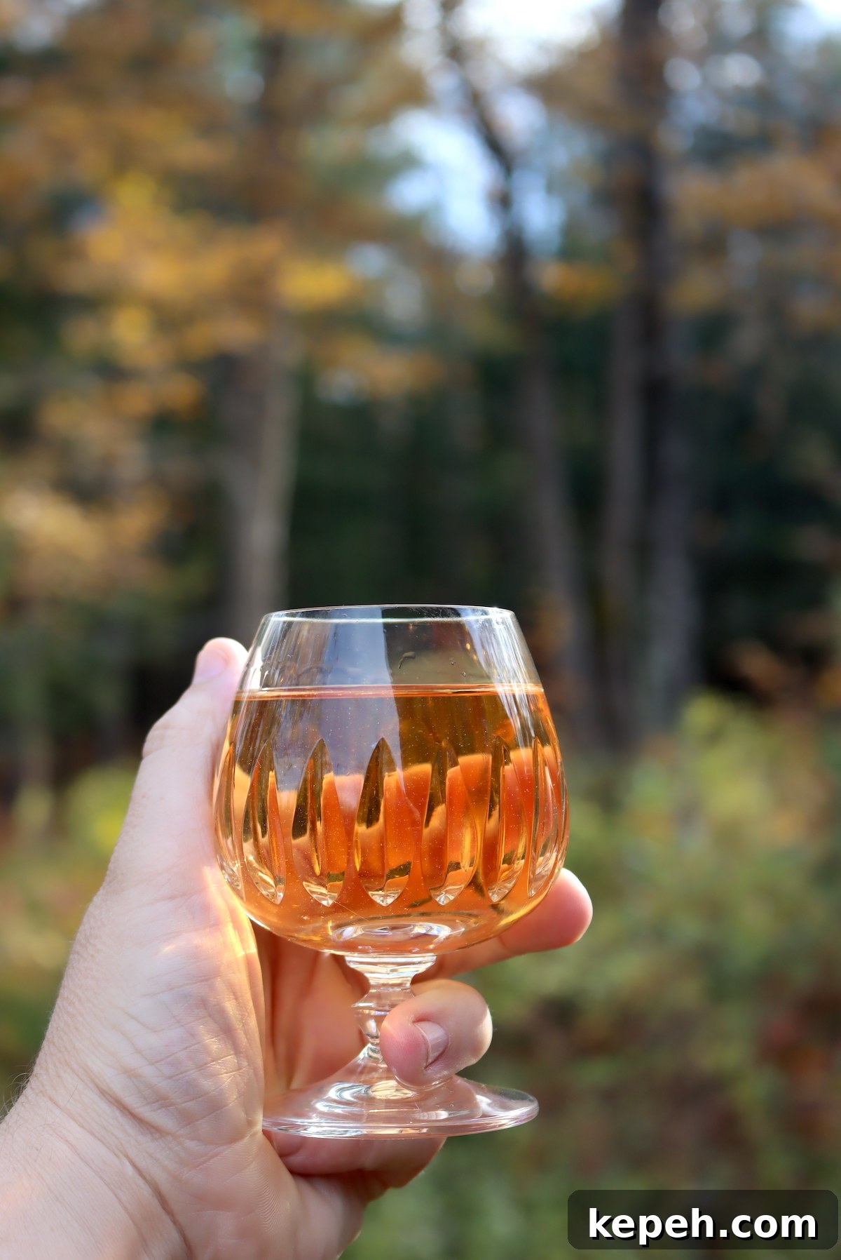 Finished Gooseberry Wine