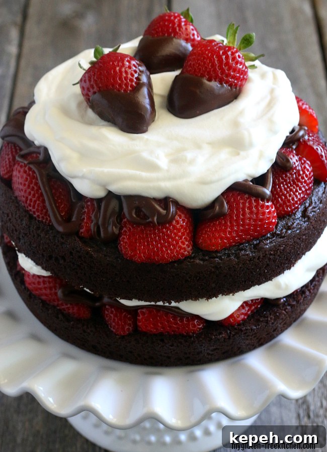 Gluten-free Chocolate Strawberry Layer Cake Dessert