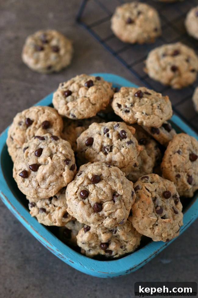 Gluten-free Oatmeal Chocolate Chip Cookies. These are dairy-free too! Easy recipe that makes a LARGE batch!
