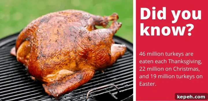 Top Woods for Smoking Turkey: Flavor Guide and 2023 Picks 2 Top Wood For Smoking Turkey Facts