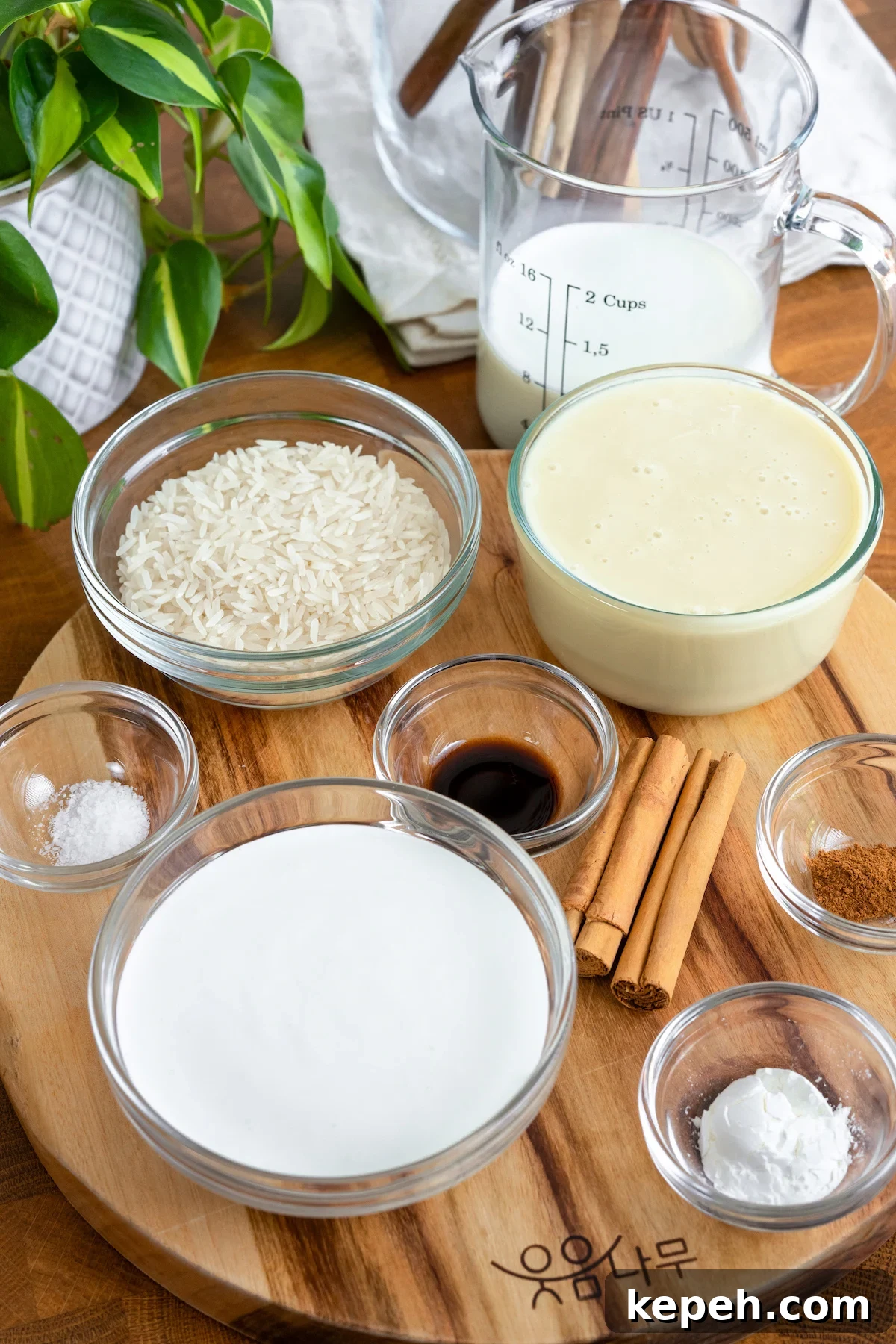 Rice Pudding Popsicles: Creamy Paletas de Arroz con Leche 2 img 15450 1