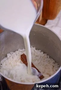Rice Pudding Popsicles: Creamy Paletas de Arroz con Leche 10 img 15450 10