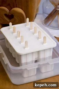 Rice Pudding Popsicles: Creamy Paletas de Arroz con Leche 15 img 15450 15