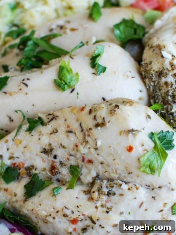 Greek Chicken with Tzatziki Orzo Salad