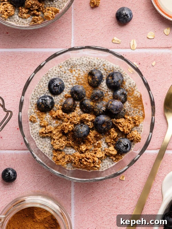 Raspberry Chia Seed Jam Recipe: Quick No-Cook Fruit Spread 12 Chia oat milk pudding in a glass bowl topped with granola and fresh blueberries.