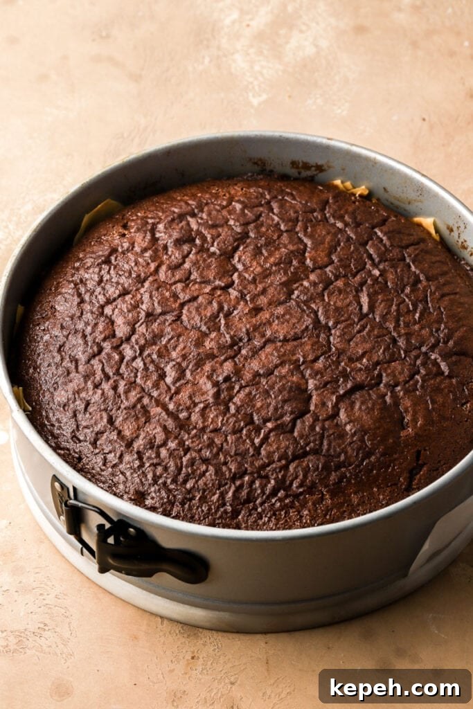 Decadent Chocolate Baklava Cake Recipe for Special Occasions 9 cake finished baking