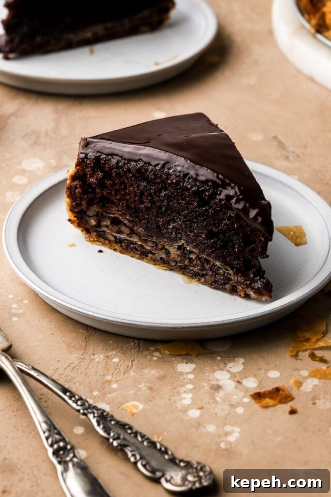 Decadent Chocolate Baklava Cake Recipe for Special Occasions 13 slice of baklava cake on a plate