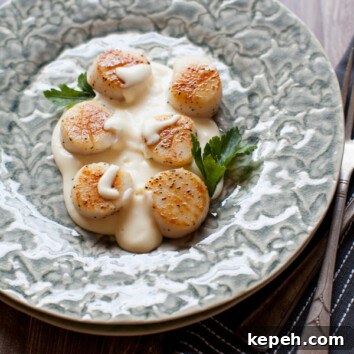Pan-Seared Scallops in Creamy Gruyère Sauce 3 Pan-Seared Scallops with a Gruyère Cheese Sauce from The Little Kitchen thelittlekitchen.net